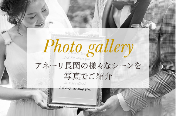 写真で魅力をお伝えします
